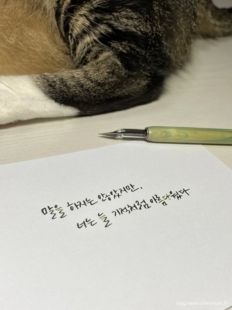 국내에서 이상할 정도로 인기가 많던 소설 문구 - 이미지 6