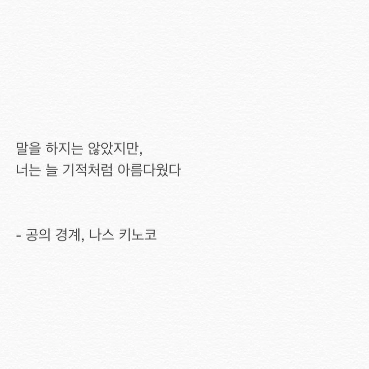 국내에서 이상할 정도로 인기가 많던 소설 문구 - 이미지 9