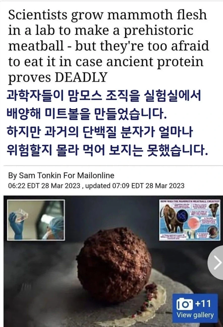 매머드 미트볼