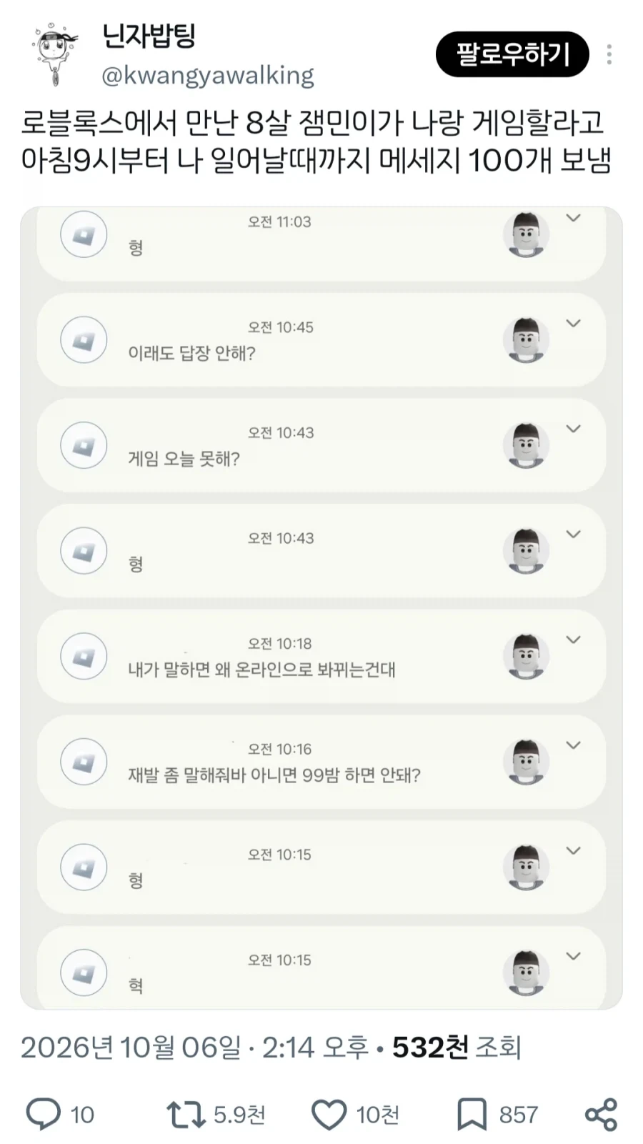 로블룩스 잼민이.jpe