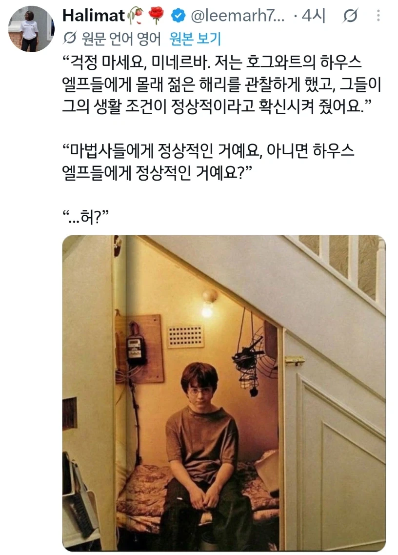 해리 포터의 가정에 학대는 없었다는 보고를 들었소