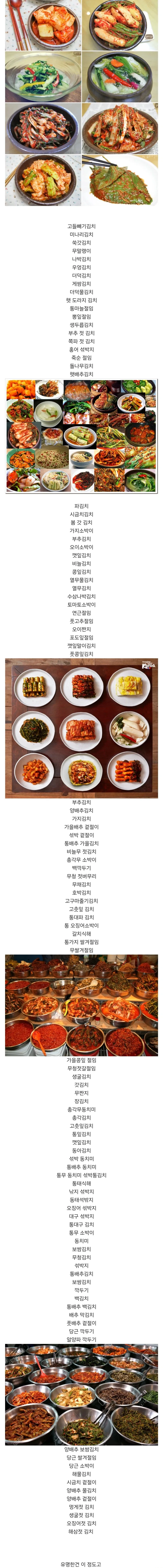유명한 김치 목록들.jpg