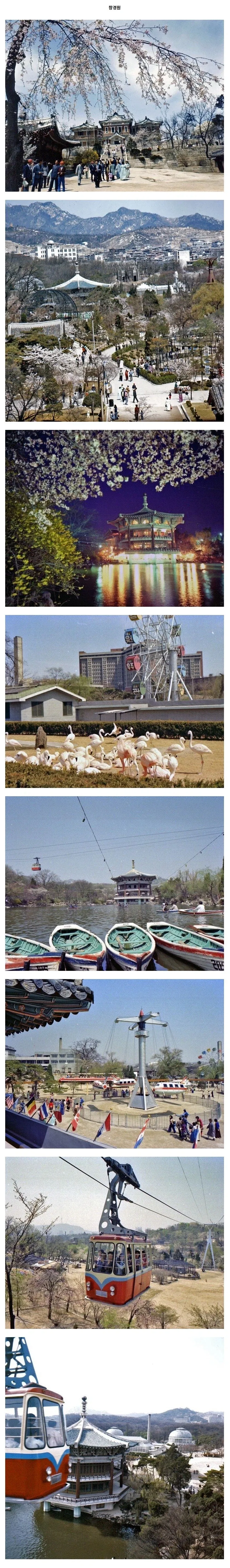 1979년 창경원.jpg