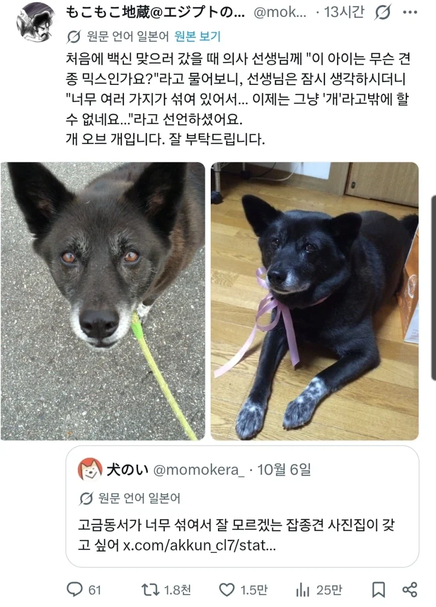 "이 녀석은 ＇개＇ 입니다"
