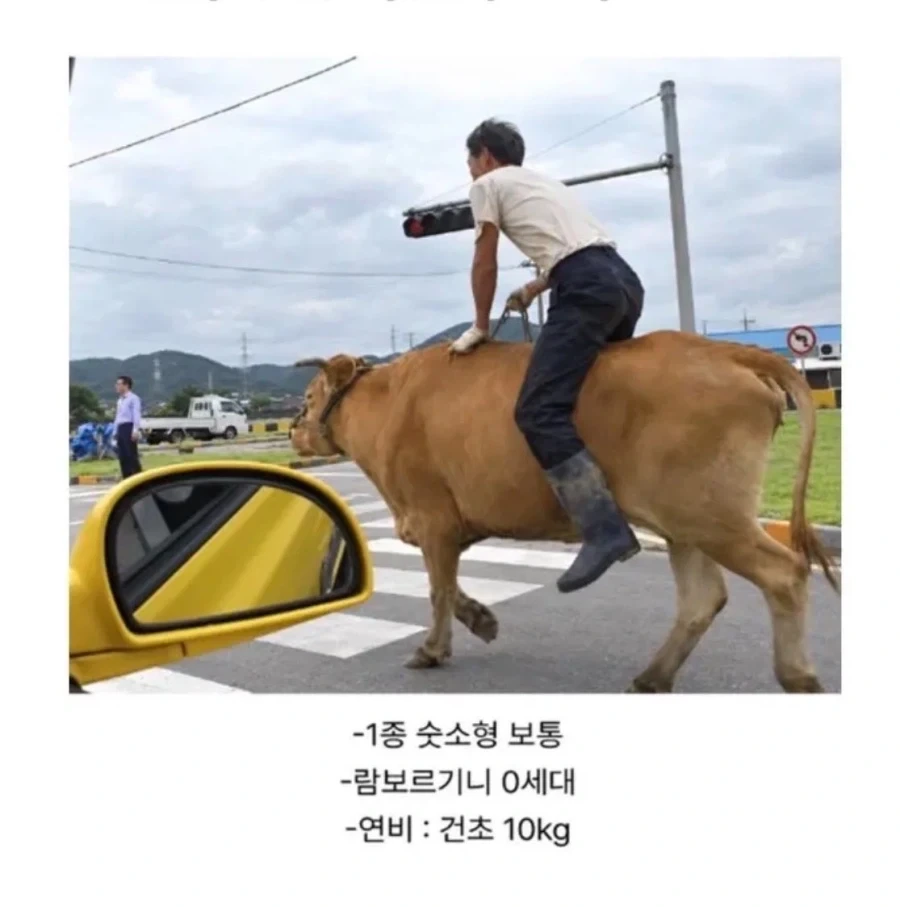 음주운전 중인 사람