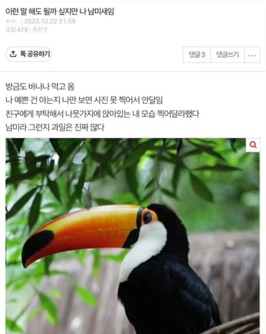 이런 말해도 될까 싶지만 나 남미새임