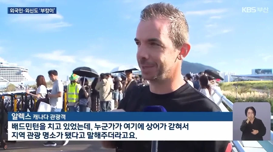 외신까지 타버린 부산 상어.jpg - 이미지 2