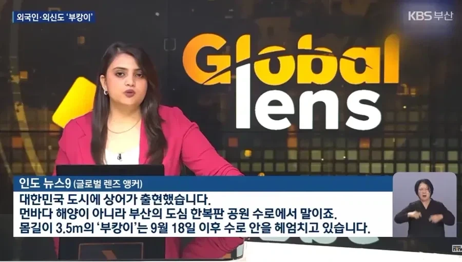 여수박람회 30일 VS 부캉이 22일의 대결.jpg - 이미지 5