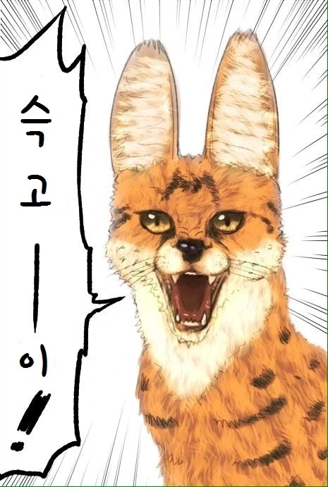 2018년도에 싱가포르 단체관광 투어로 여행했는데 되게 열악한 나라더라
