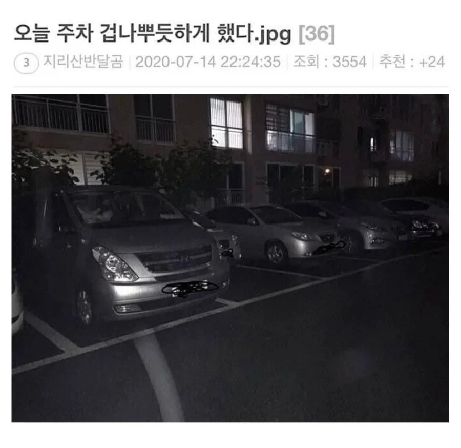 주차 잘 해서 뿌듯하다