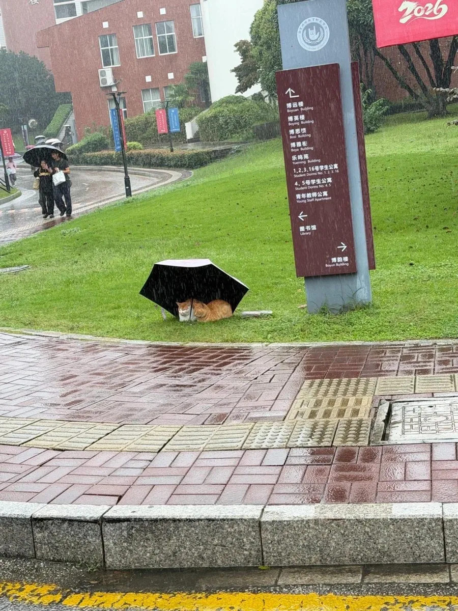 교육이념을 실천하는 대학교