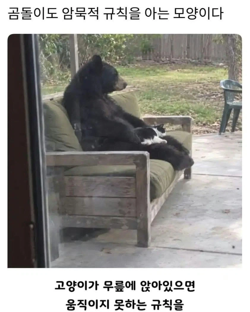 죽음의 함정에 걸린 곰