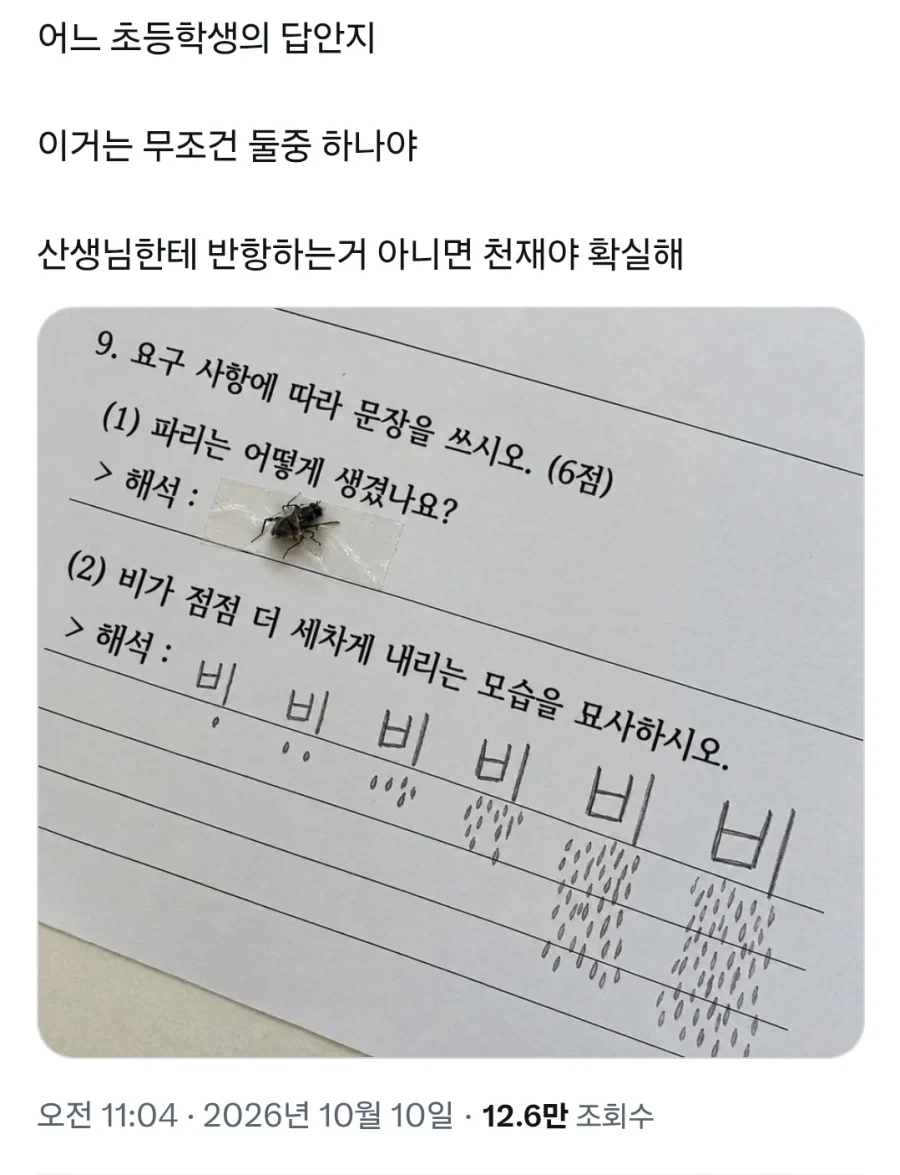 어느 초등학생의 답안지