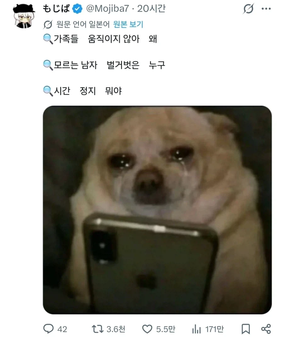 "눈물 흘리며 검색기능을 쓰는 강아지들" - 이미지 2