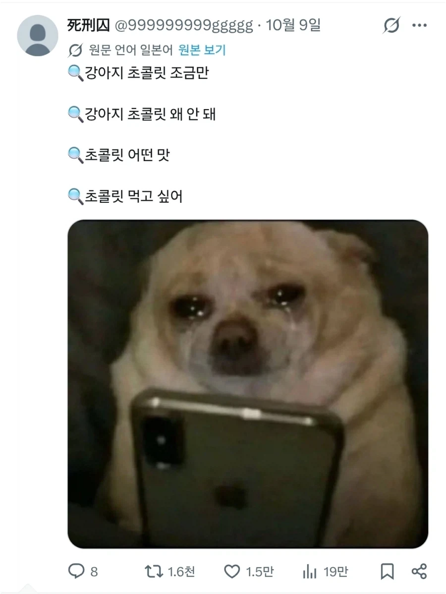 "눈물 흘리며 검색기능을 쓰는 강아지들" - 이미지 4