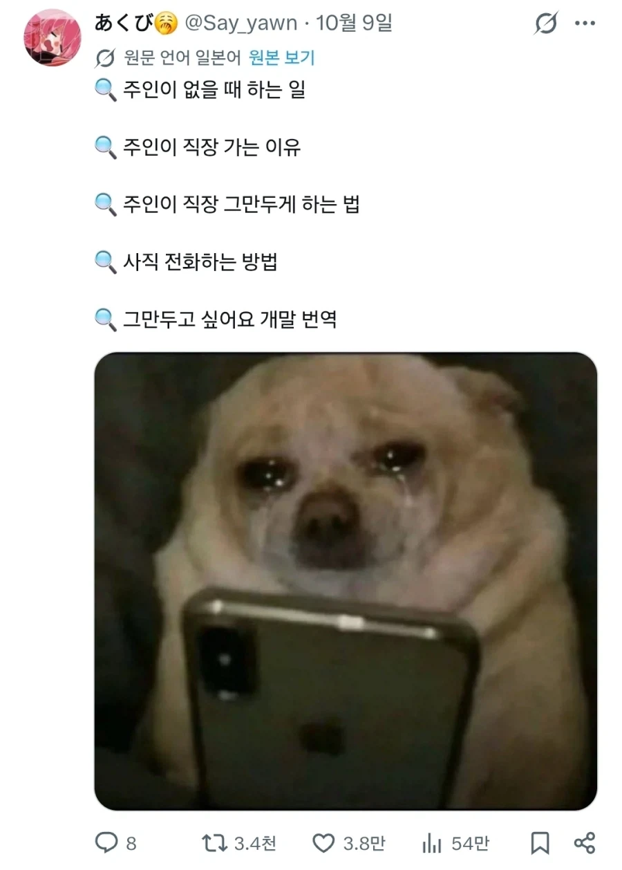 "눈물 흘리며 검색기능을 쓰는 강아지들" - 이미지 5