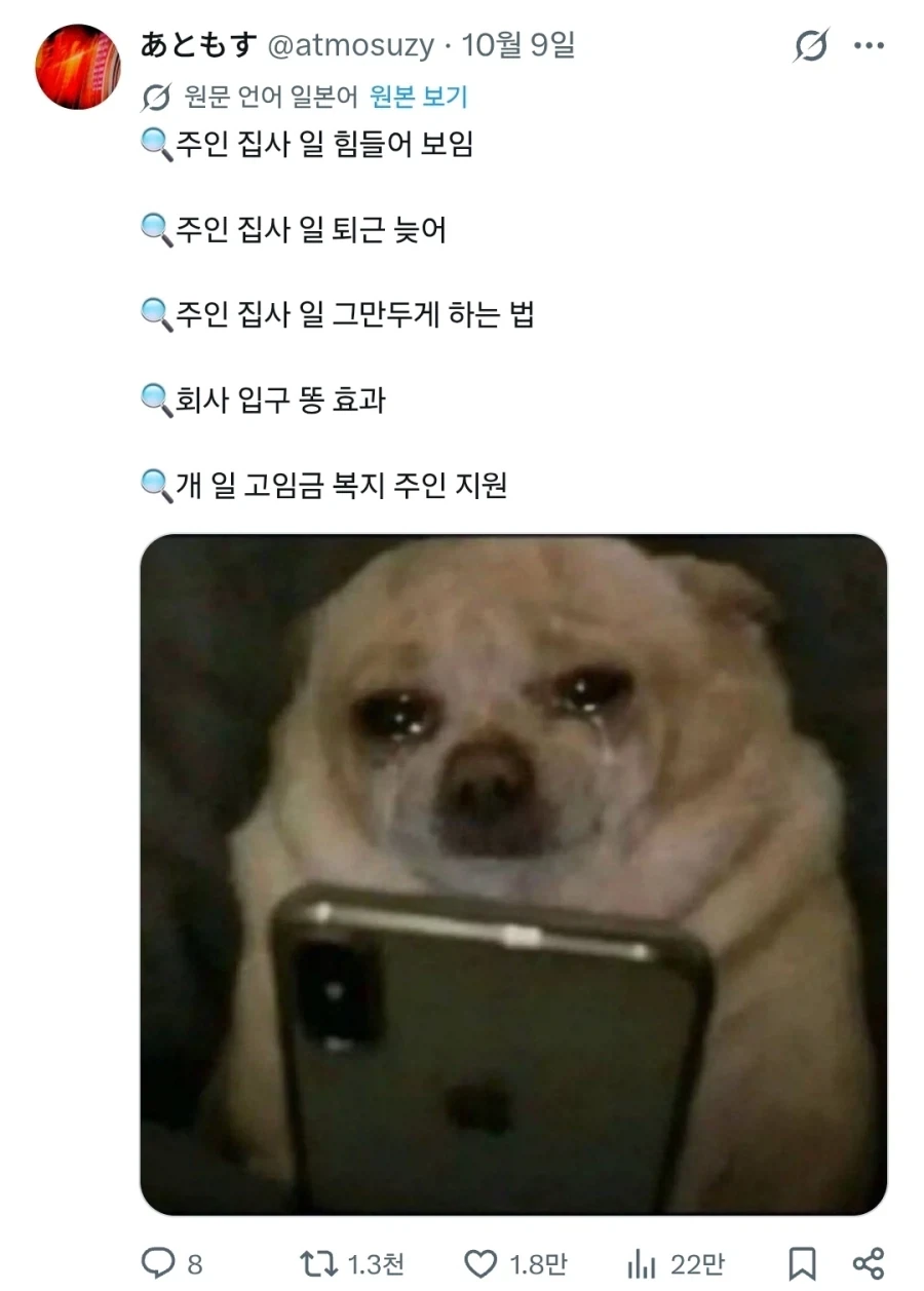 "눈물 흘리며 검색기능을 쓰는 강아지들" - 이미지 6