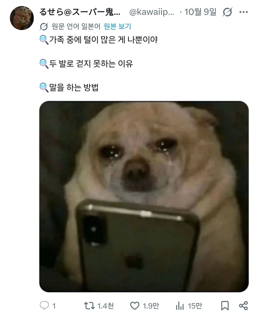 "눈물 흘리며 검색기능을 쓰는 강아지들" - 이미지 7
