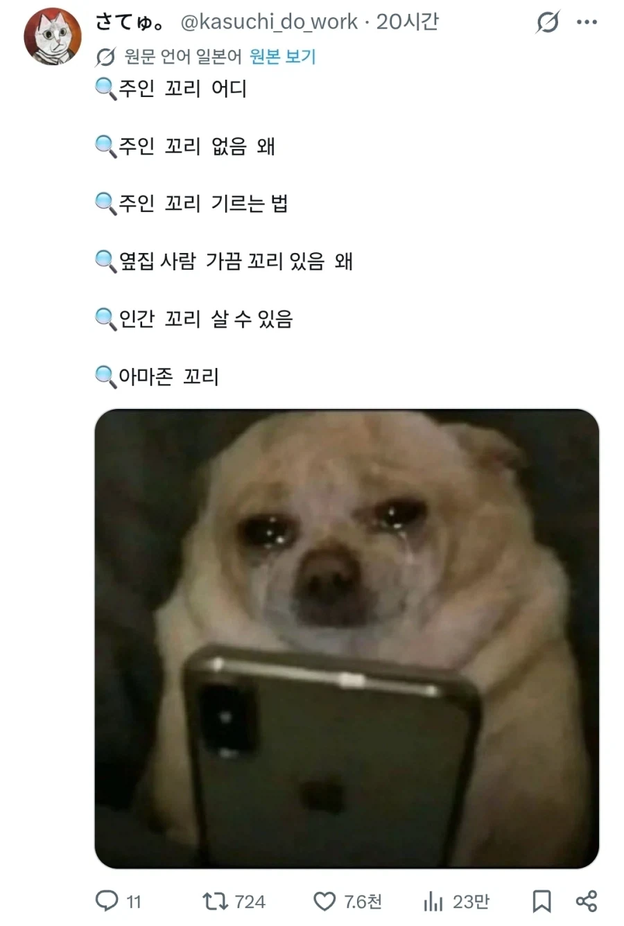 "눈물 흘리며 검색기능을 쓰는 강아지들" - 이미지 8