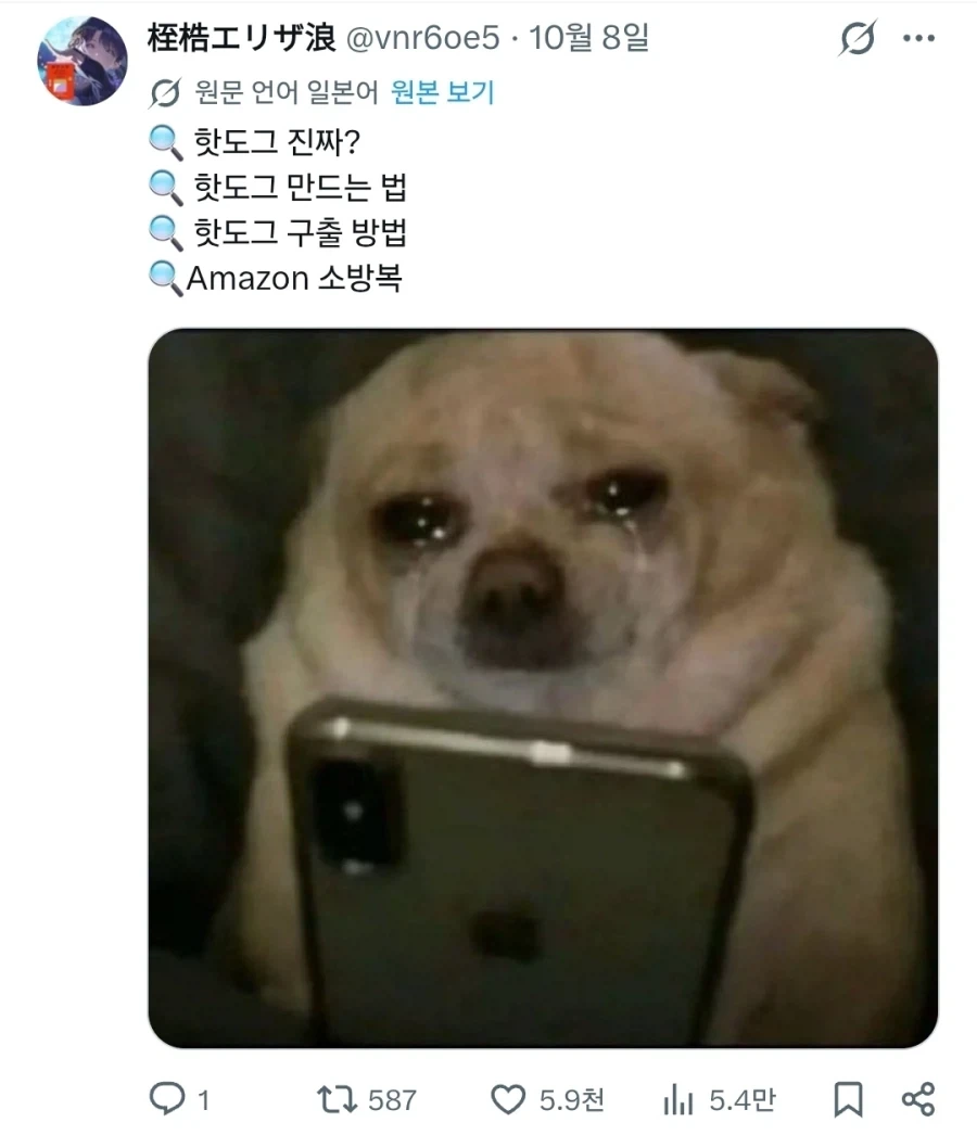 "눈물 흘리며 검색기능을 쓰는 강아지들" - 이미지 9