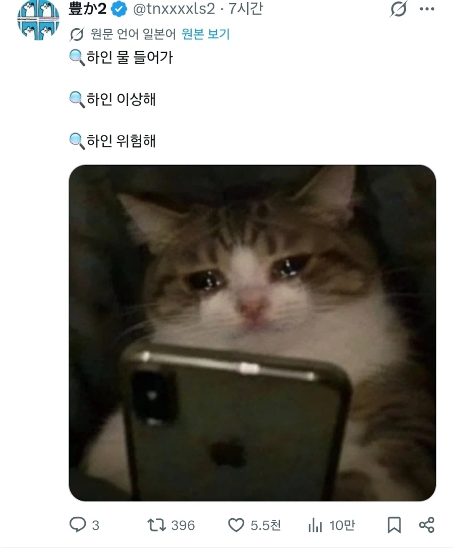 "눈물 흘리며 검색기능을 쓰는 강아지들" - 이미지 10