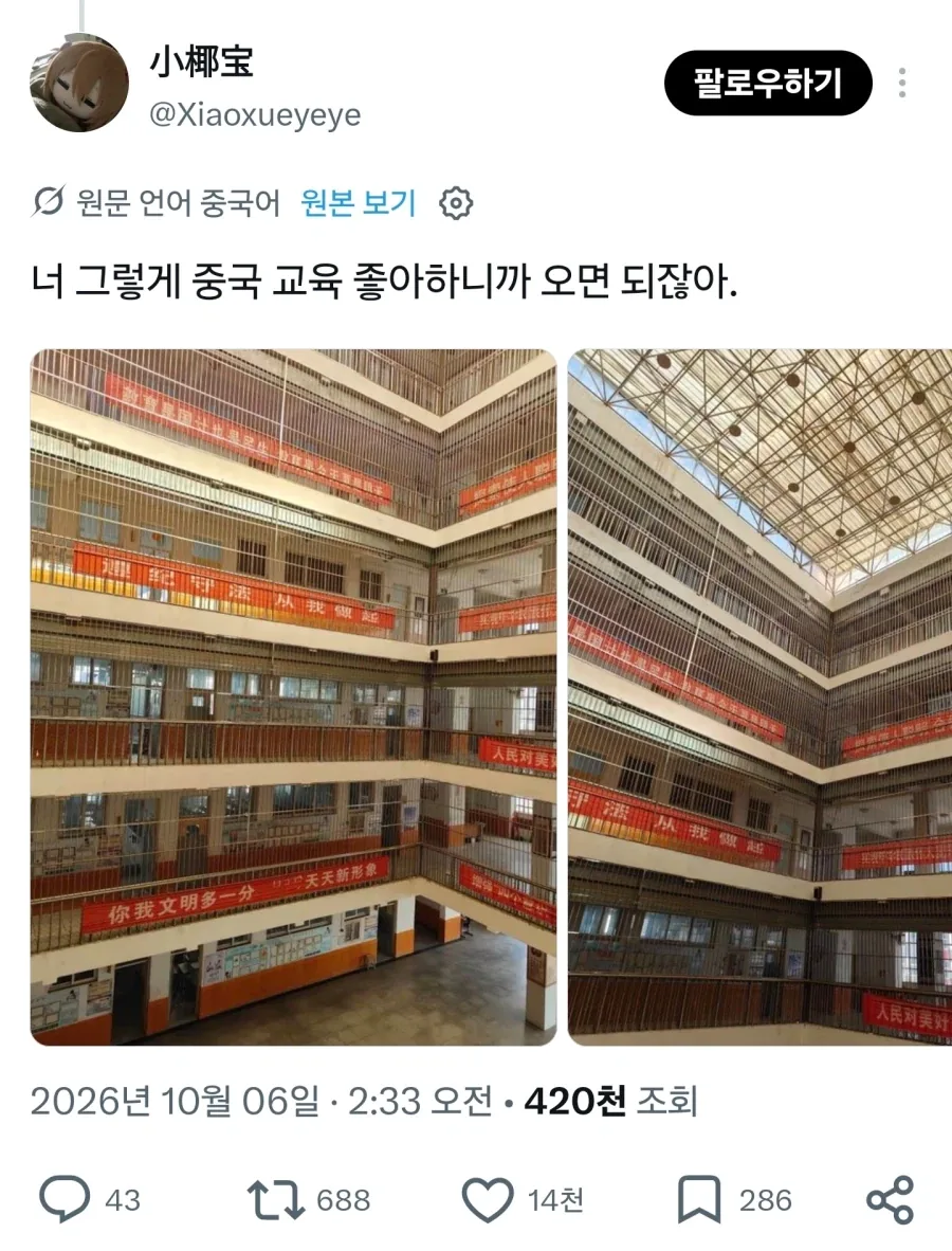 의외로 중국식 교육을 칭찬하는 사람들 - 이미지 2