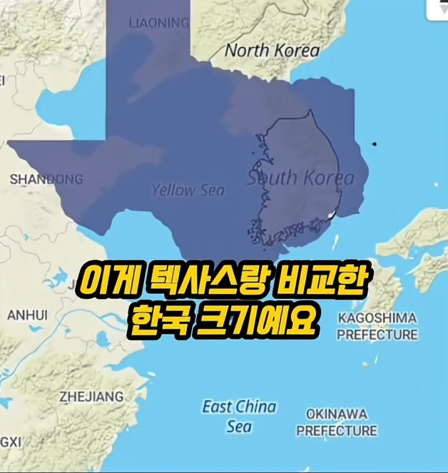 Kpop아이돌 이해 못하는 미국인