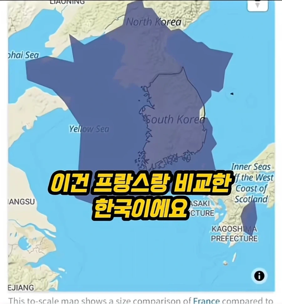 Kpop아이돌 이해 못하는 미국인 - 이미지 2