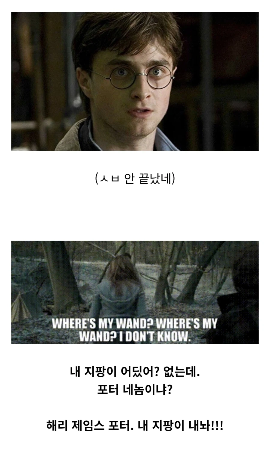 해리포터) 헤르미온느 멘탈 약하다?는 억까지 - 이미지 4