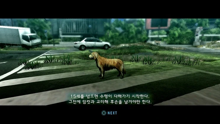교미 못하면 게임오버인 게임