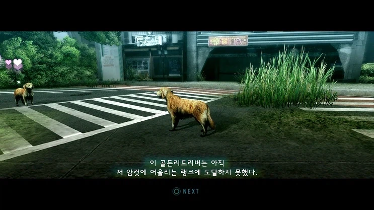 교미 못하면 게임오버인 게임 - 이미지 2