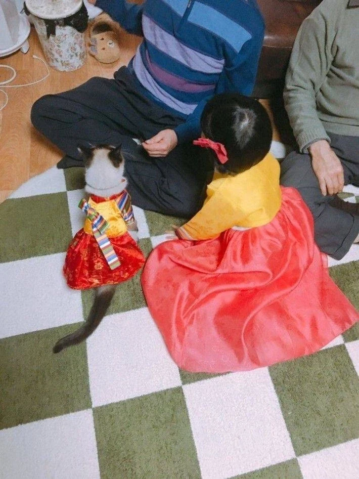 꼬까옷 입고 용돈 받음.jpg