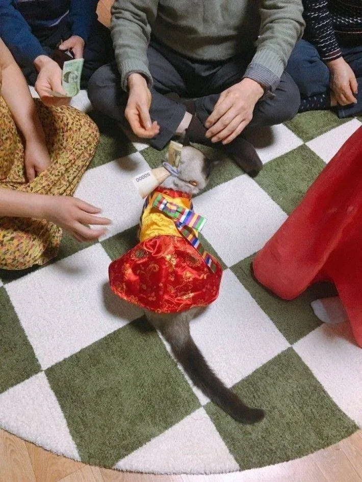 꼬까옷 입고 용돈 받음.jpg - 이미지 2