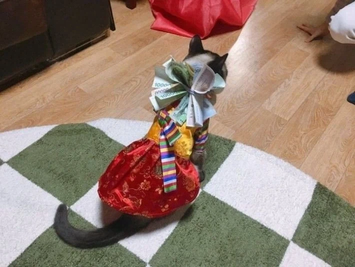 꼬까옷 입고 용돈 받음.jpg - 이미지 3