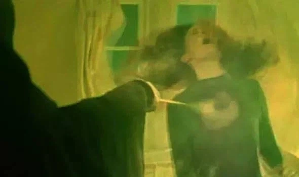 해리포터) 보호 마법에 대한 사실 하나