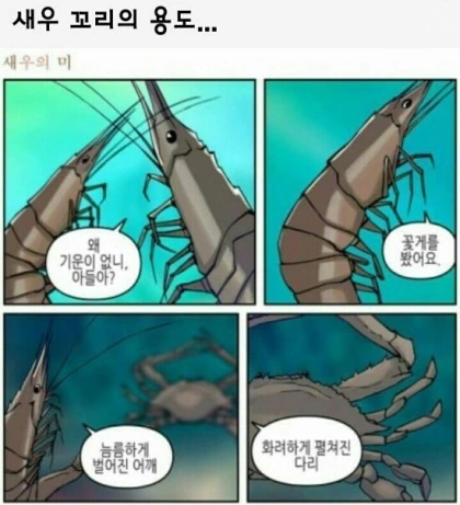 게를 부러워하는 새우 만화