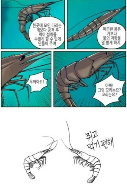 게를 부러워하는 새우 만화 - 이미지 3