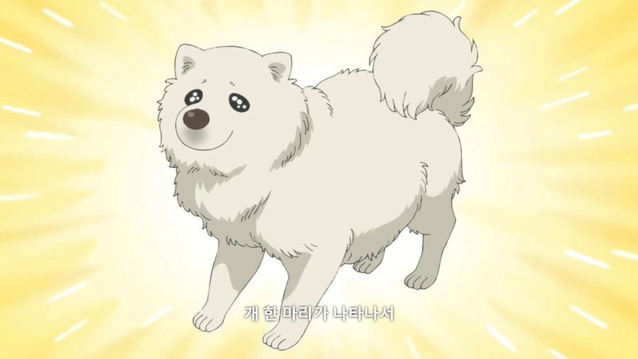 던전밥]마르실과 라이오스의 인식차이 - 이미지 5