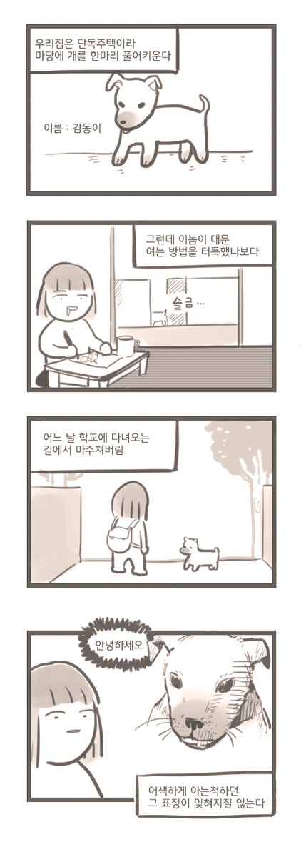 집 강아지 집나간 만화.manwha