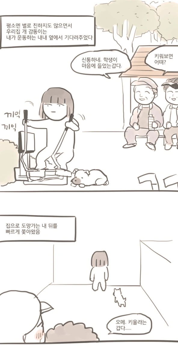 집 강아지 집나간 만화.manwha - 이미지 3