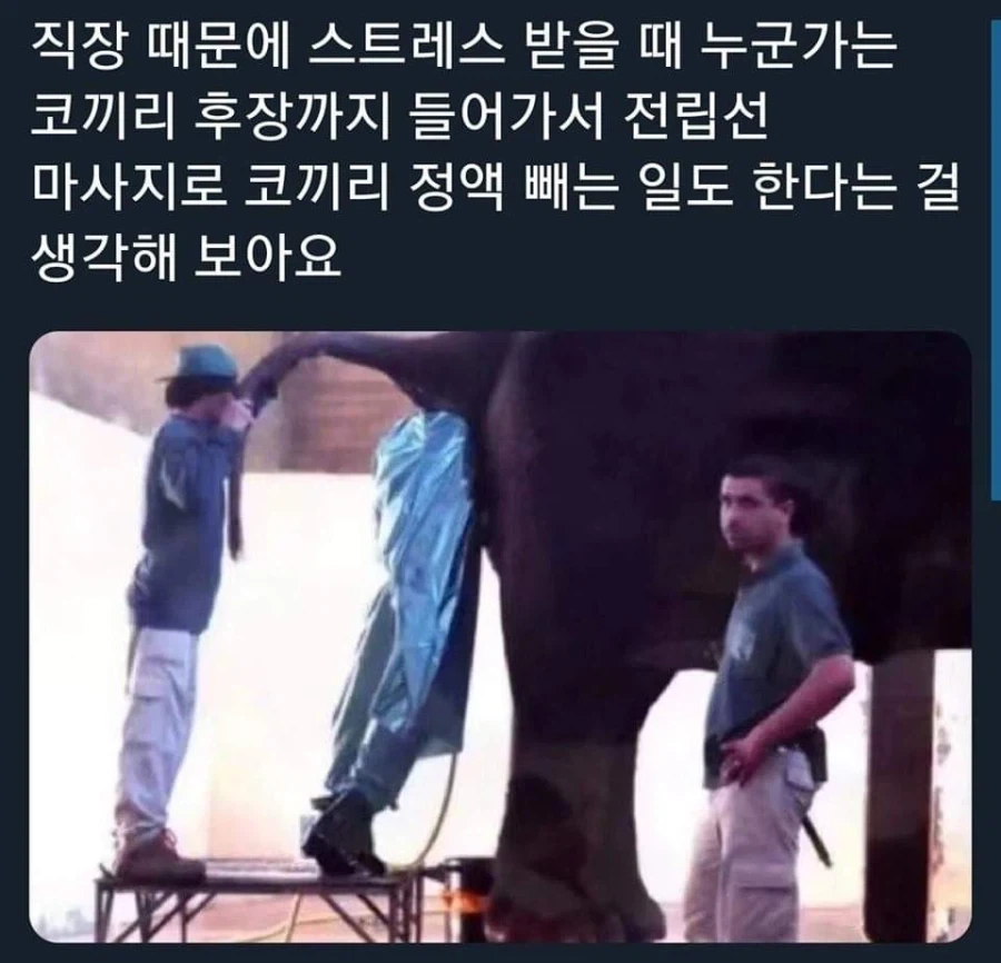 직장 속 직장.jpg