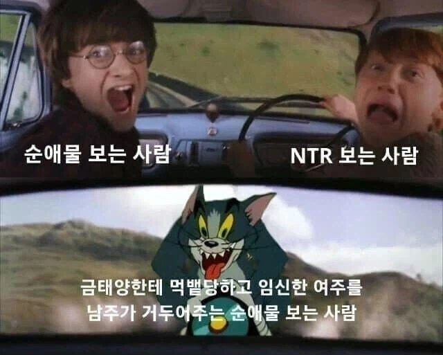 해리 포터 짤중에 빵 터졌던 거