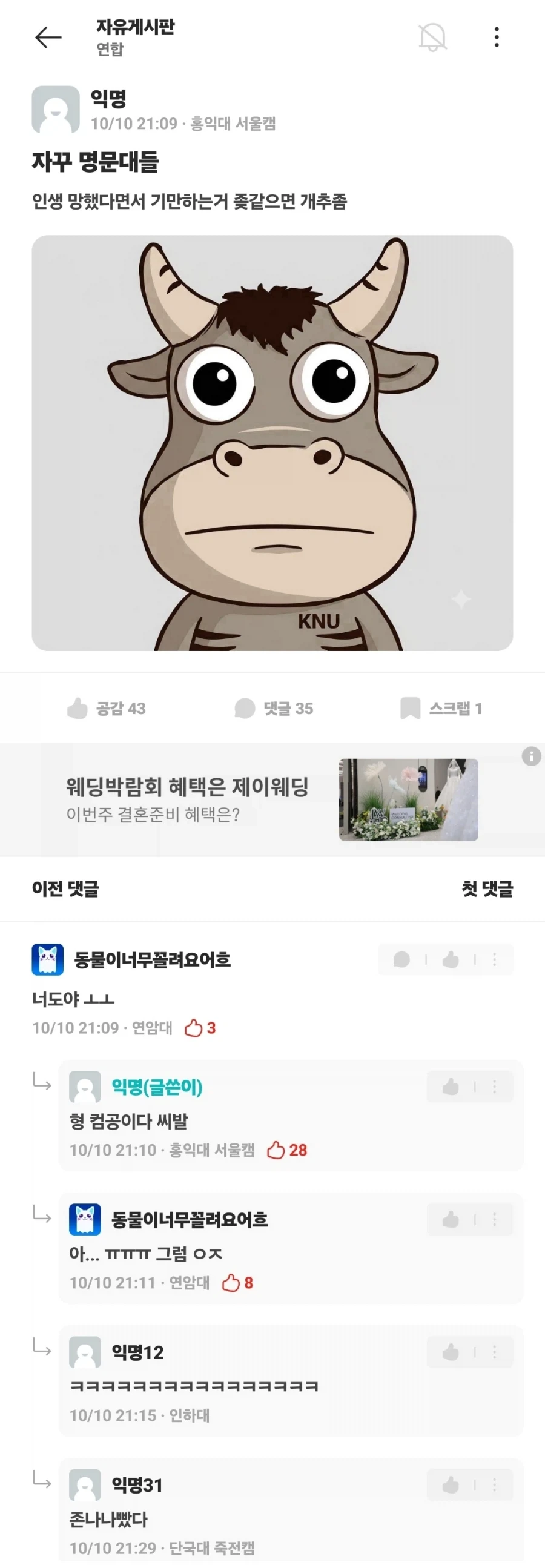 "명문대들 인생 망했다고 기만하는 거 ㅈ같다"