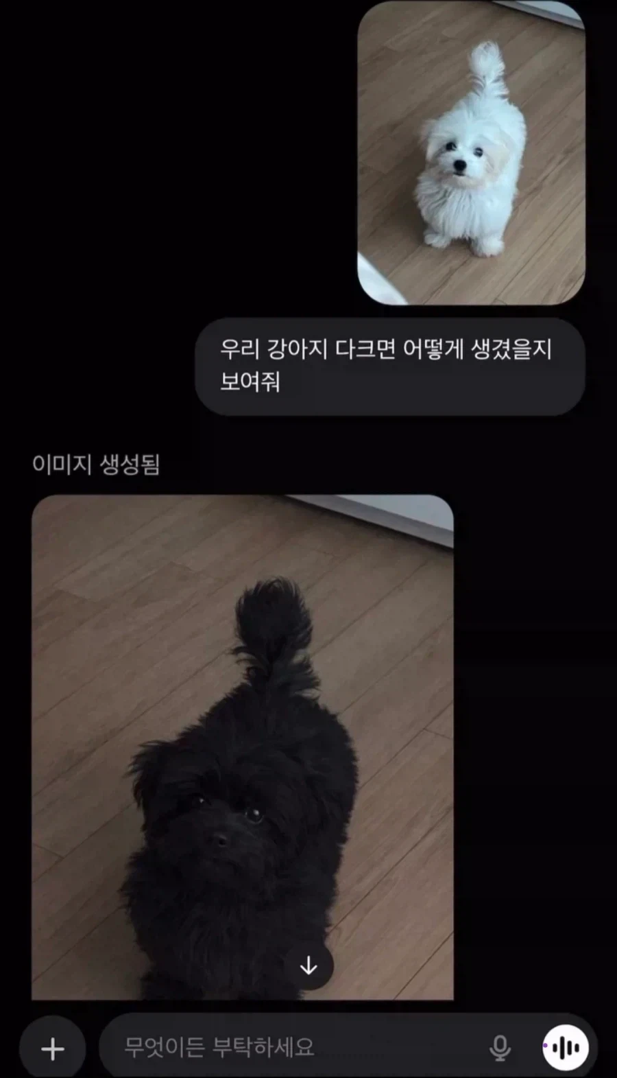 ai야 우리 강아지 다크면 어떻게 생겼을지 보여줘