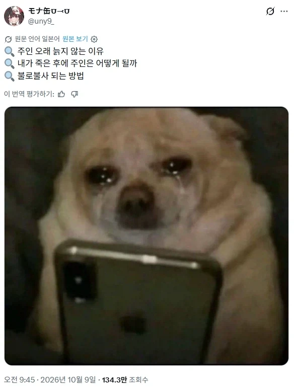 댕댕이가 울면서 검색한 검색기록 유출됨