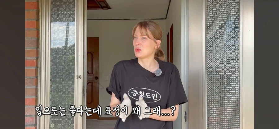 고향 갈 생각에 우울해진 독일인 - 이미지 3