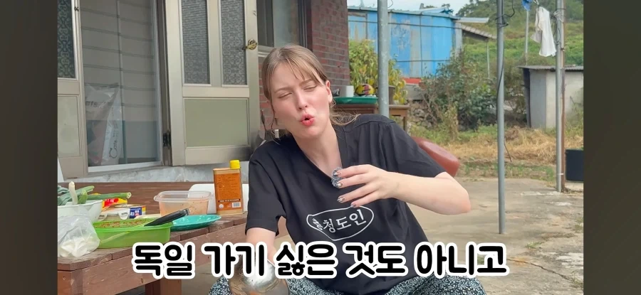 고향 갈 생각에 우울해진 독일인 - 이미지 7