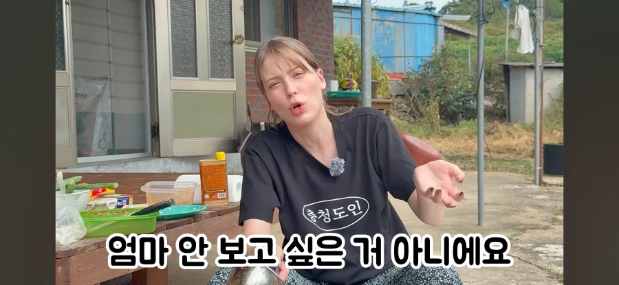 고향 갈 생각에 우울해진 독일인 - 이미지 8