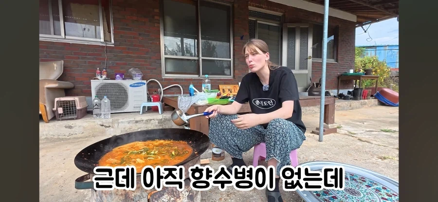 고향 갈 생각에 우울해진 독일인 - 이미지 10