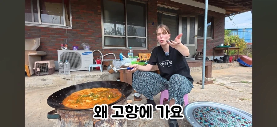 고향 갈 생각에 우울해진 독일인 - 이미지 11